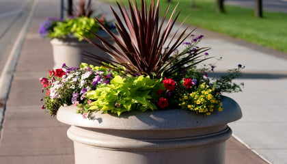 Californian Line Planter TCB-8 With Custom Graphic